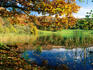 Loughrigg Tarn in autumn.