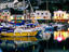 Image_23250-6