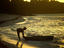 Man going fishing at dawn, Anse Royale.