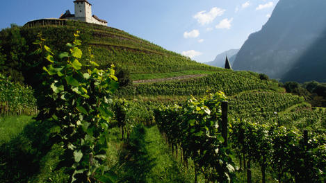 Image_23277-20