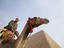 Image_23286-3