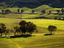 Image_23317-54