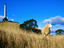 Domain, Auckland