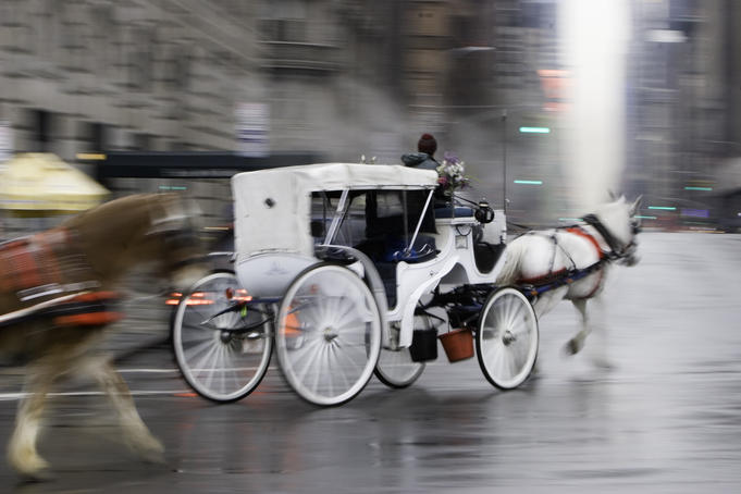 Horse drawn carriage on rainy winter day in Midtown.