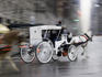 Horse drawn carriage on rainy winter day in Midtown.