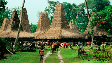 Image_23399-4