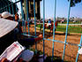 Horse racing at Saigon Racing Club, District 11.