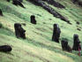 Rano Raraku, known as the nursery: maoi on the slope inside the crater - Easter Island