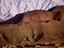 Image_23455-61