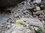Image_23470-9