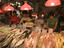 Image_23476-51