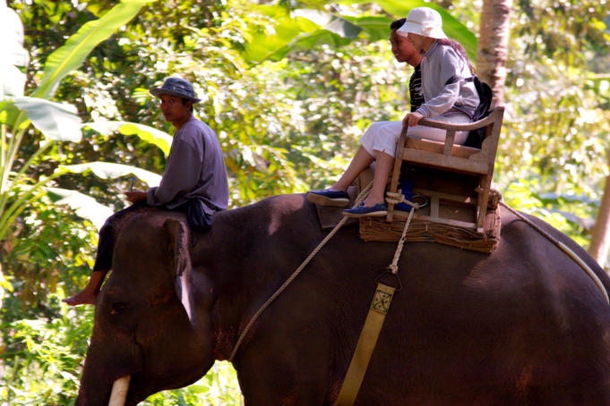 Elephant ride at Elephant Safari Park.