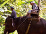 Elephant ride at Elephant Safari Park.