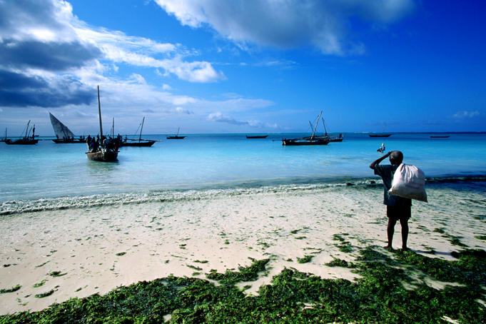 Fishing dhows, Zanzibar Channel.
