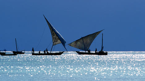 Image_23523-61