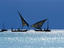 Image_23523-61