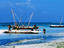 Image_23523-64