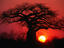Image_23523-76