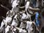 Cattle skulls, Santa Fe