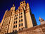 Image_23551-15