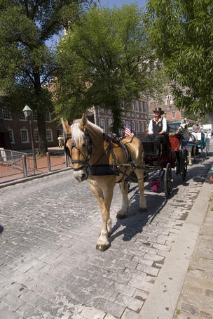 Horse cart in historic area.