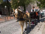Horse cart in historic area.