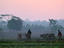Farmers cultivating land, Orissa