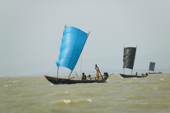 Sail boats on Lake Chilka, Barkul.