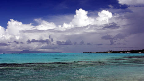 Image_23560-16