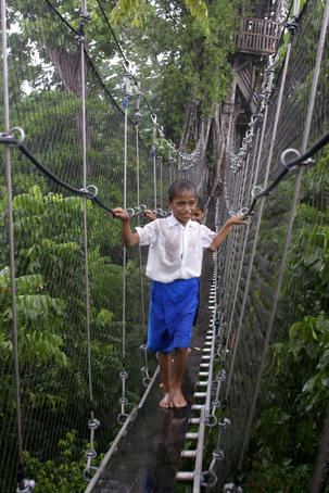Young schoolboys tentatively crossing canopy walk during downpour.