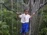Young schoolboys tentatively crossing canopy walk during downpour.