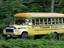 Image_23560-29
