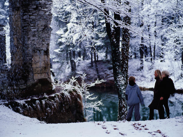 Family walking in snow.