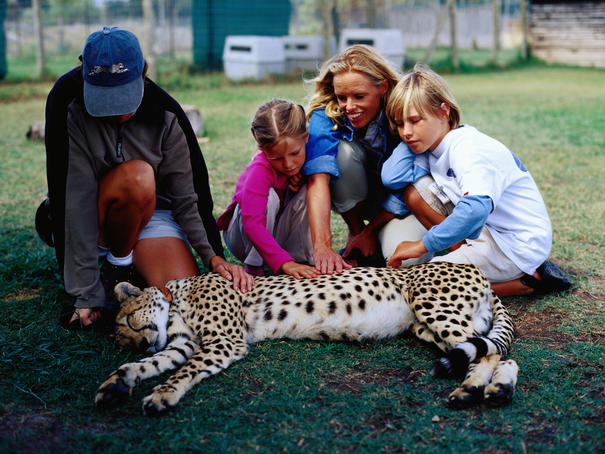 Family patting cheetah with trainer at Speer reufuge for wild animals.