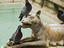 Image_23581-49