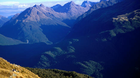 Image_23610-7