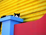 Cat sleeping in barrio La Boca.