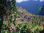 Image_23639-30