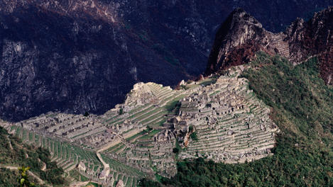 Image_23639-31