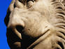 Stone lion guarding Radziwill Palace.