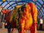 CowParade, Warsaw