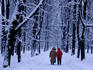 Winter in Saxson Gardens.