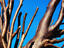 Image_23660-55