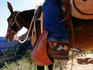 Cowboy boot spurs on mule, Bright Angel Trail.