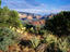 The Vortex, Sedona