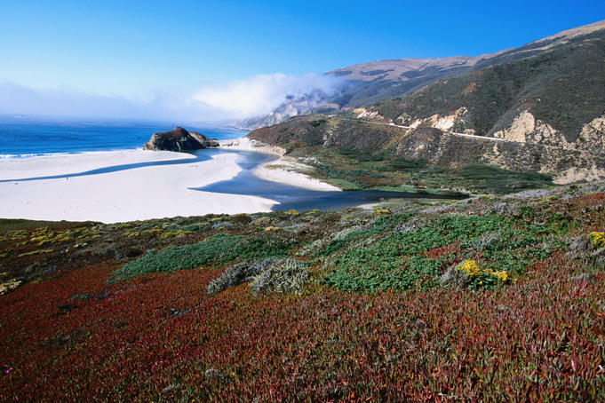 Iceplants and Big Sur coastline.