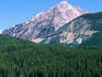 Elk and mountains near Coyote Valley.