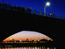 People watching bats from Congress Avenue Bridge.