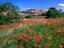 Image_23682-77