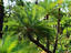 Image_23687-9